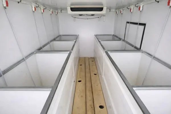Interior of HOWO refrigerated truck configured for fish and seafood transport